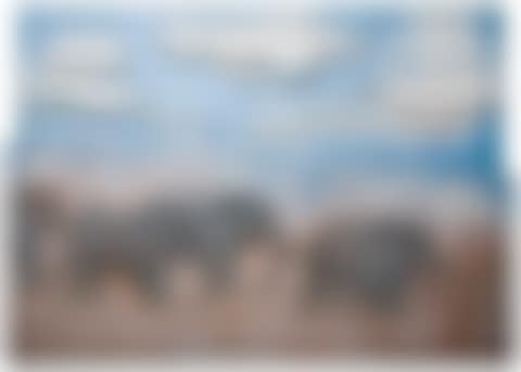Elephants (preview)