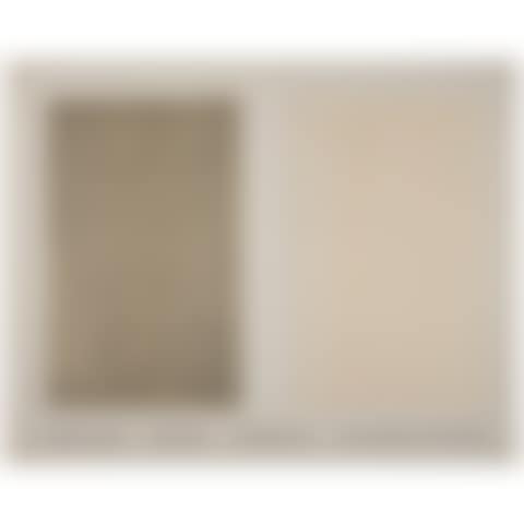 Jasper Johns Drawings, January 20-31, Leo Castelli (preview)