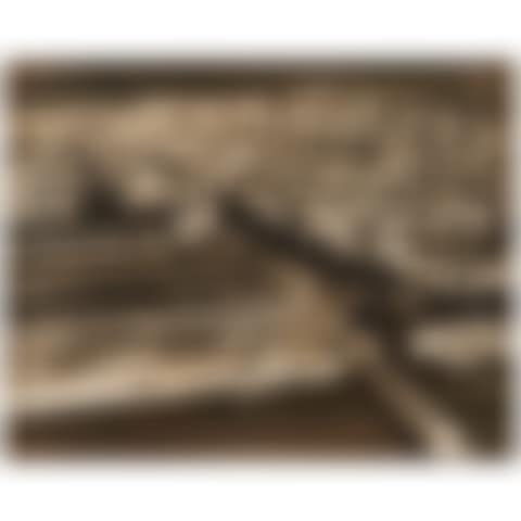 "Havana" (preview)