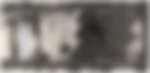 Rails (G. 89) (preview)