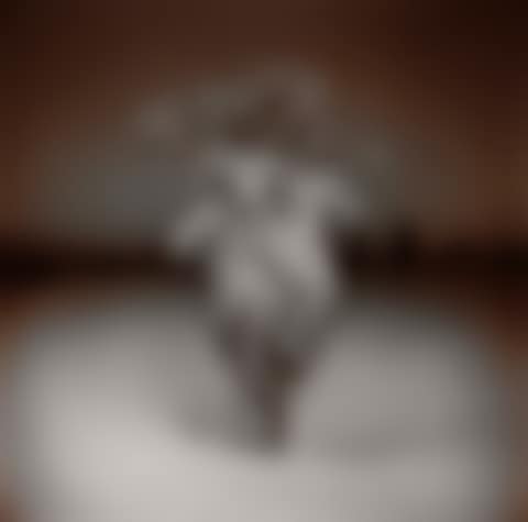 Palm tree no.3 (preview)