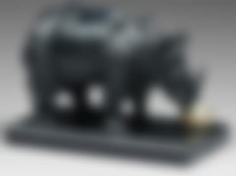 “Rhinoceros dressed in lace” (preview)