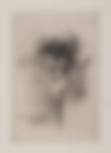 Printemps (preview)