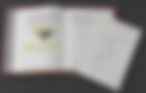 “Defamation trial pleaded before the internship conference” (preview)