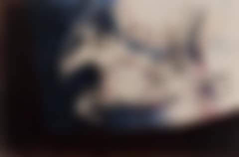 Capítulo X (preview)