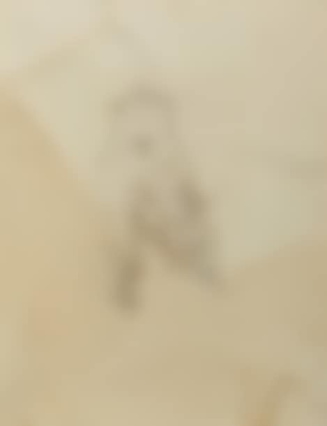 Woman with ankle boots (preview)