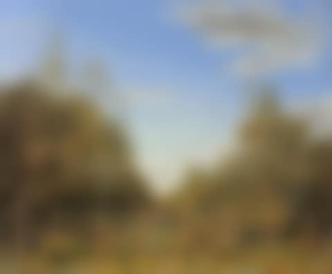 “View taken from the garden path, late afternoon” (preview)