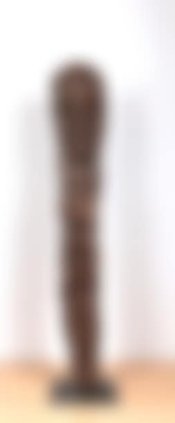 Small rank figure - Village of Nea, in black tree fern (preview)