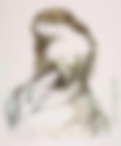 Seours (preview)