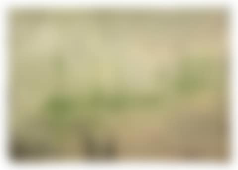 Green Sails (preview)