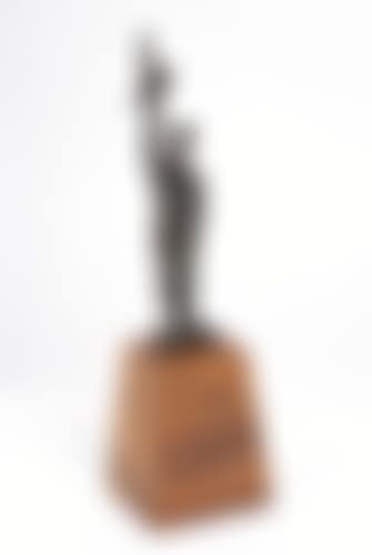 The Award of Learning (preview)