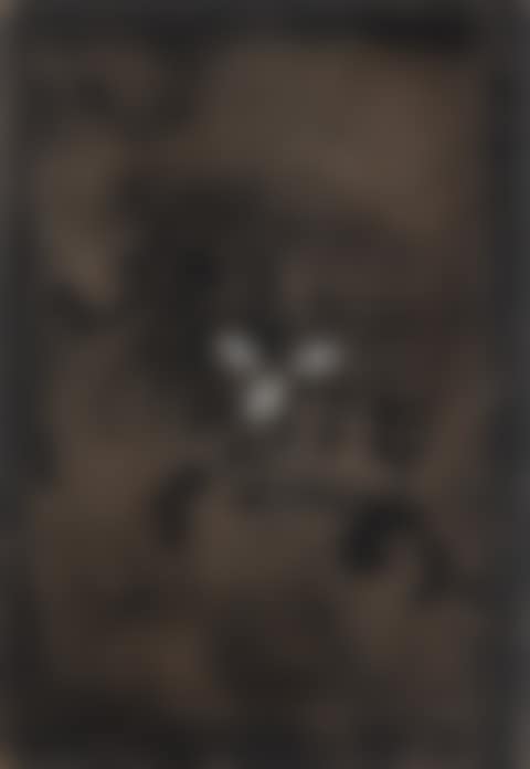 Cartó III (preview)