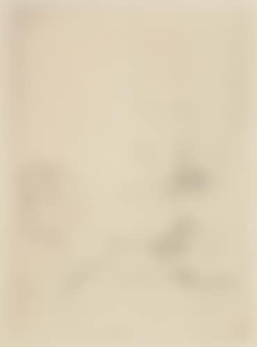 Two drypoints; Canards sur l'eau,  Canards et tête d'enfant (preview)