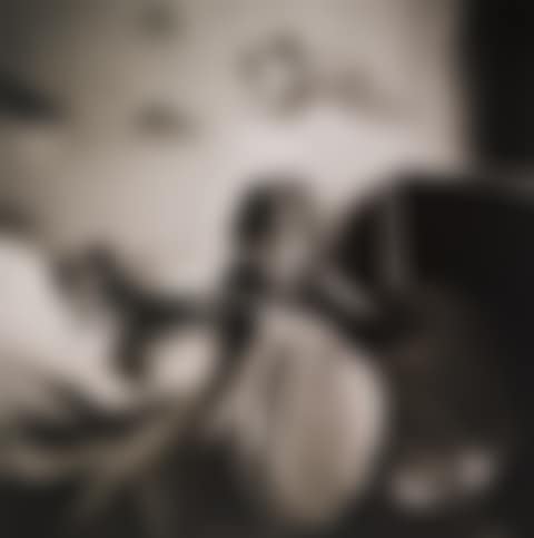 Portfolio entitled "The Vanished World."  (preview)