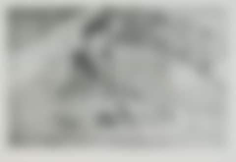 La Femme aux Figues (preview)