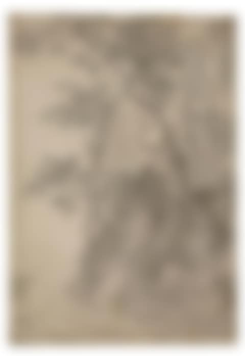 Early morning landscape study (preview)