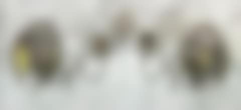 Wall Sconces (preview)