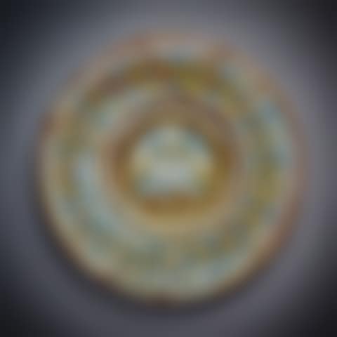 Dish (preview)