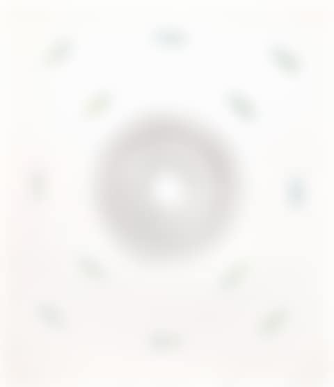 Untitled (C. p. 349, E. 132) (preview)