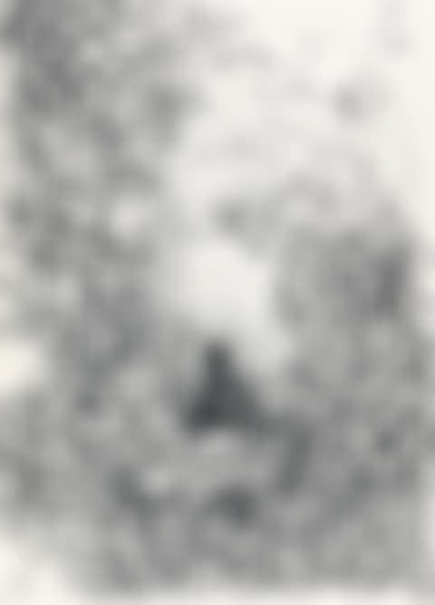 No Title 4 (preview)