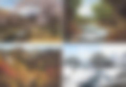 Four Seasons (preview)