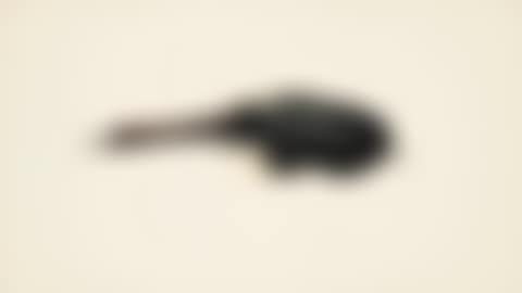 Brush (preview)